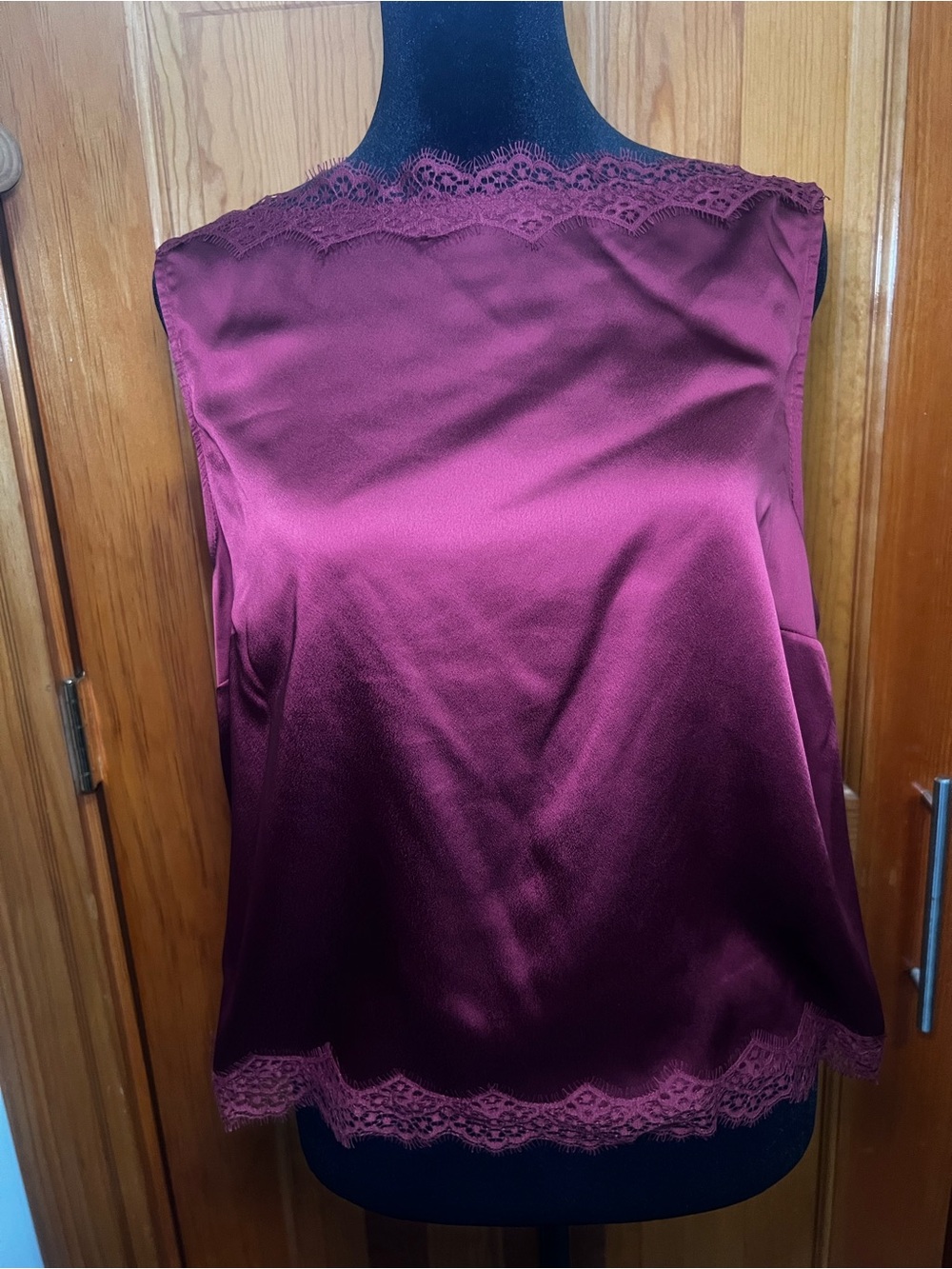 Urban Outfitters Satin Lace-Trim Camisole in Deep Wine